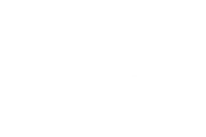 Wild African Gins