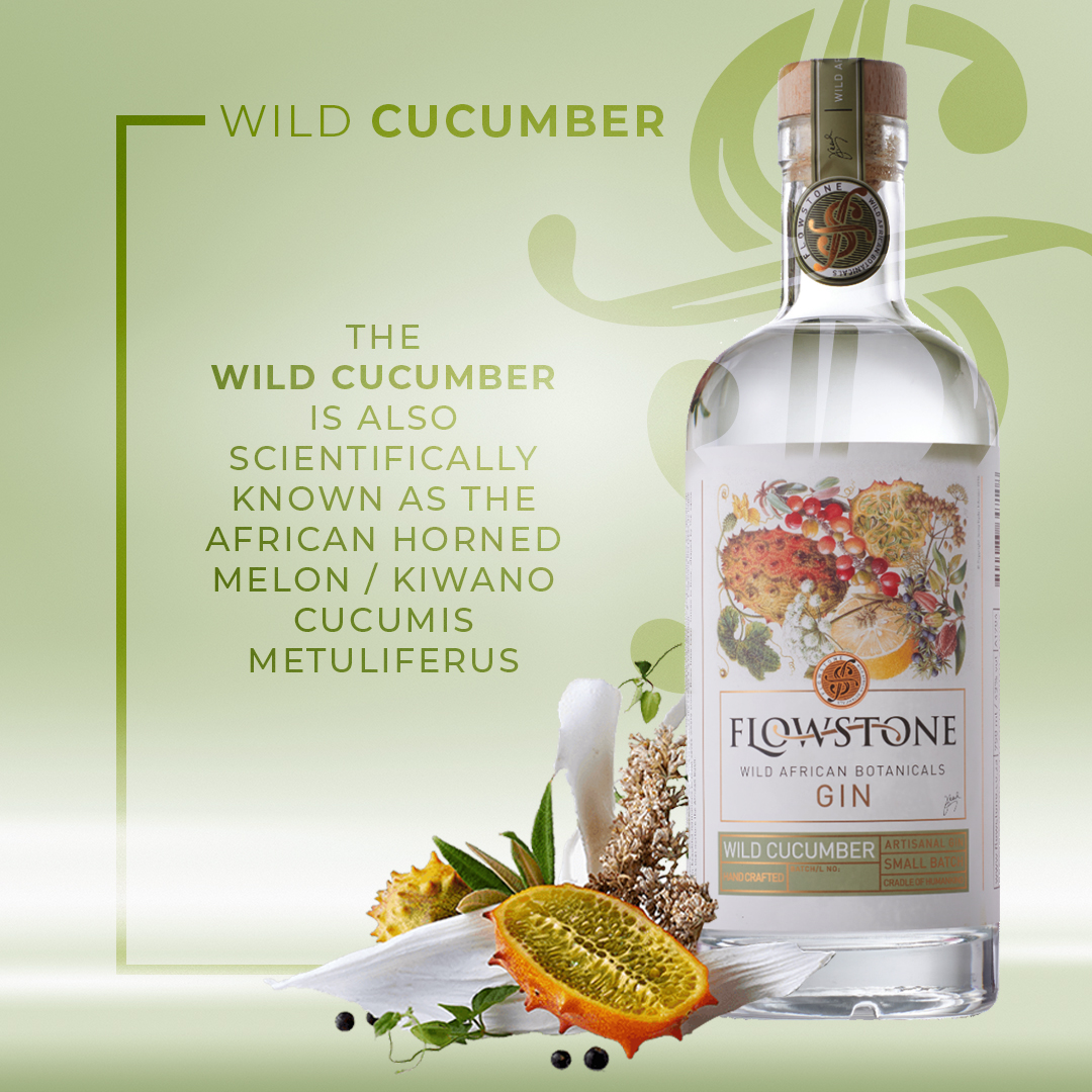 FLOWSTONE WILD CUCUMBER – Image 3