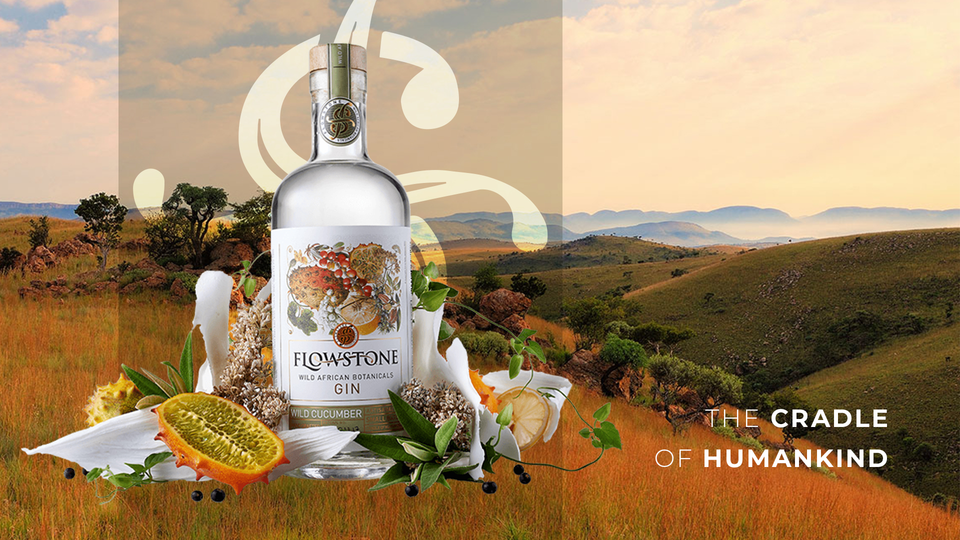 FLOWSTONE WILD CUCUMBER – Image 2