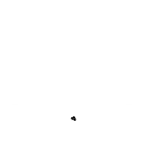 WILDAFRICANGINS