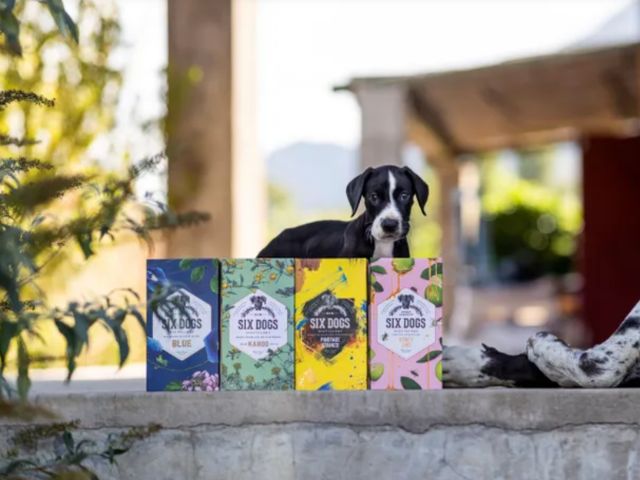 SIX DOGS HONEY LIME – Image 4