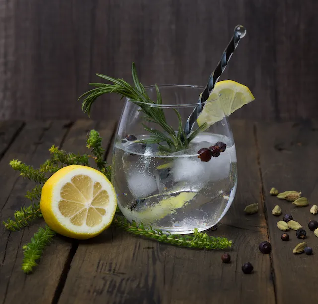 DEEP SOUTH CAPE DRY GIN – Image 2